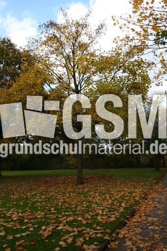 Herbststimmung-25-10-09 012.jpg